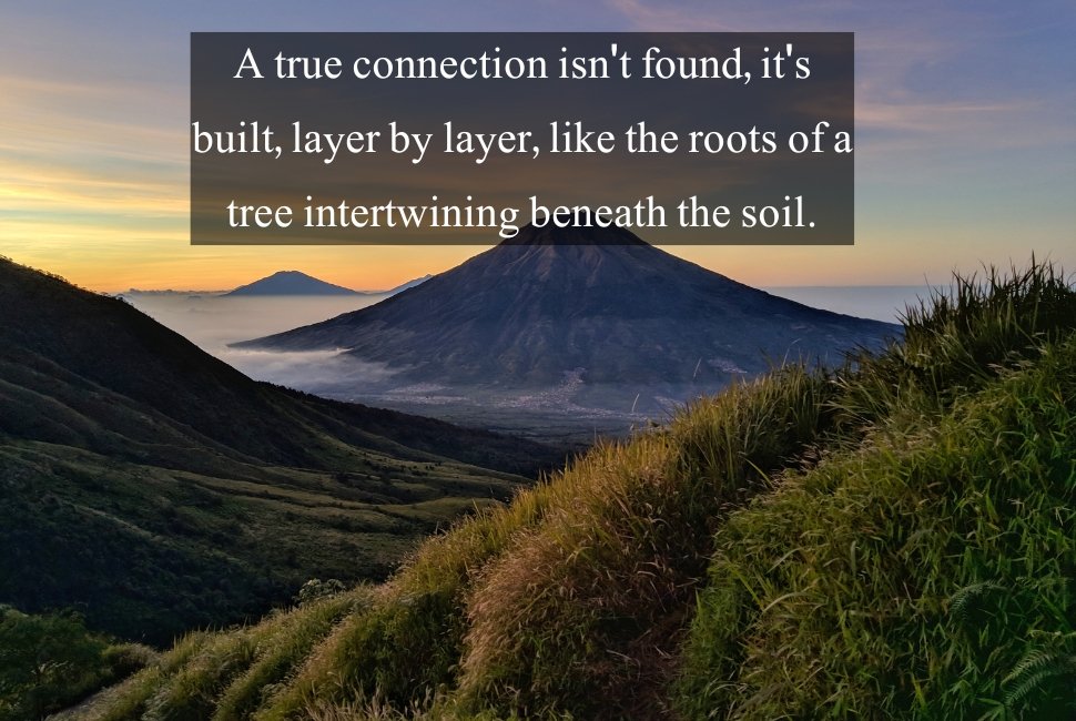 Deep connection quotes