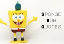 40 Epic SpongeBob Quotes That Will Make You Laugh or Cry SpongeBob Quotes